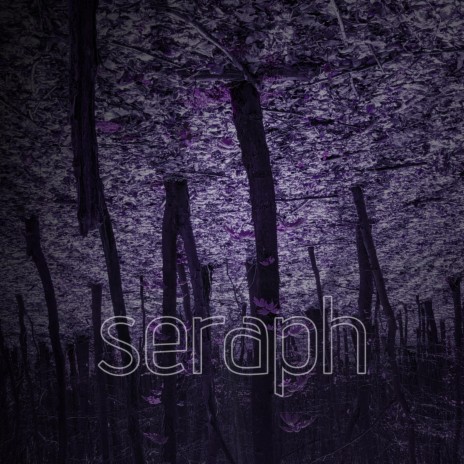 seraph | Boomplay Music