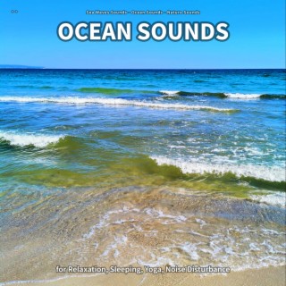 ** Ocean Sounds for Relaxation, Sleeping, Yoga, Noise Disturbance