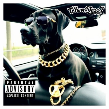 All Doggs Go to Heaven | Boomplay Music