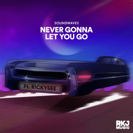 Never Gonna Let You Go ft. Rickysee | Boomplay Music