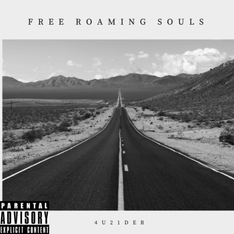 Free Roaming Souls