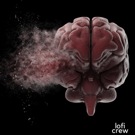Soft Lofi for Brain ft. Study Calm Sounds & Study Time | Boomplay Music