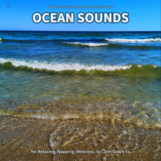 ** Ocean Sounds for Relaxing, Napping, Wellness, to Calm Down To
