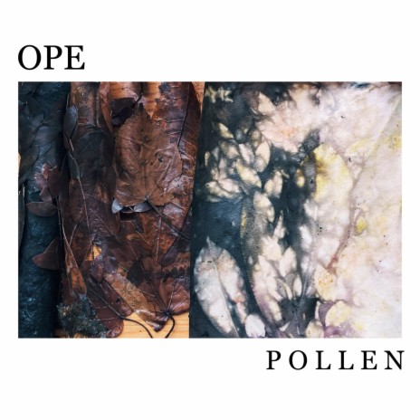 Pollen | Boomplay Music