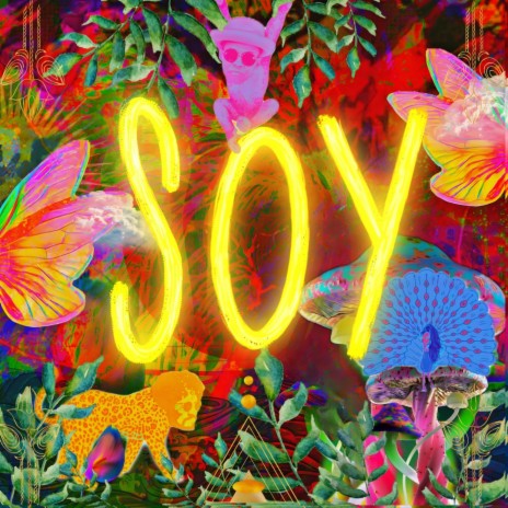 SOY | Boomplay Music