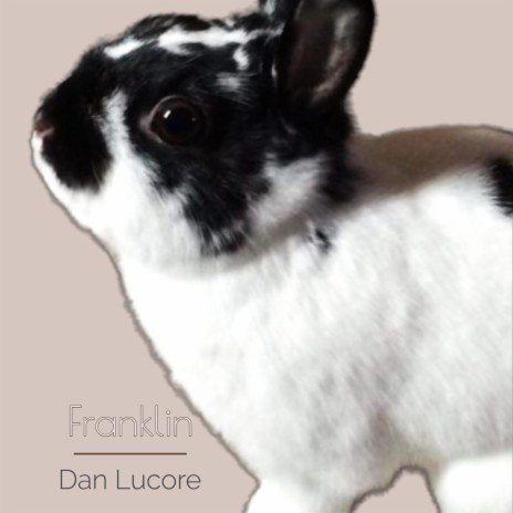 Franklin the Bunny