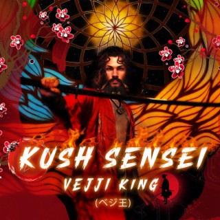 Kush Sensei lyrics | Boomplay Music
