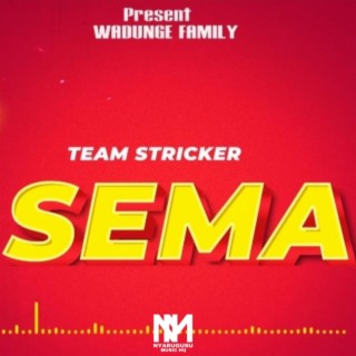 Sema | Team striker