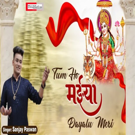 Tum Ho Maiya Dayalu Mere (Hindi) | Boomplay Music