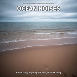 ** Ocean Noises for Relaxing, Napping, Wellness, Good Reading
