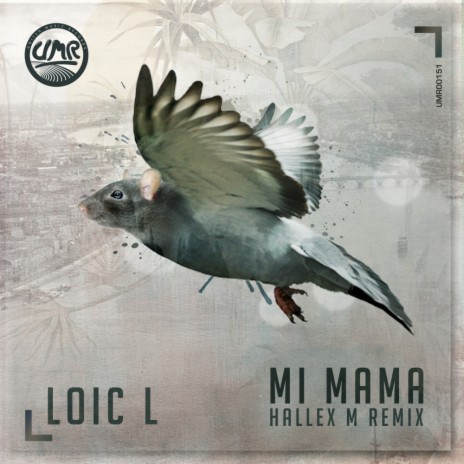Mi Mama (Hallex M Instrumental Remix) | Boomplay Music