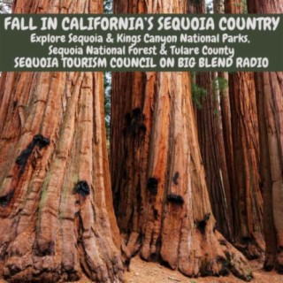 Fall Festivals and Outdoor Fun in California’s Sequoia Country