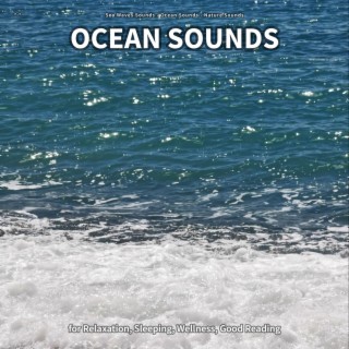 ** Ocean Sounds for Relaxation, Sleeping, Wellness, Good Reading
