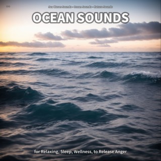 ** Ocean Sounds for Relaxing, Sleep, Wellness, to Release Anger