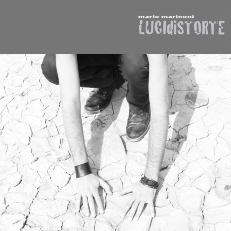 Lucidistorte