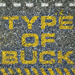 TYPE OF BUCK