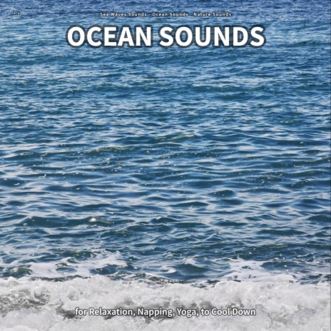 Ocean Sounds, Part 17 ft. Ocean Sounds & Nature Sounds