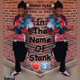 In The Name Of Stank