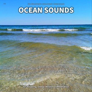 ** Ocean Sounds for Relaxing, Sleep, Wellness, Meditation