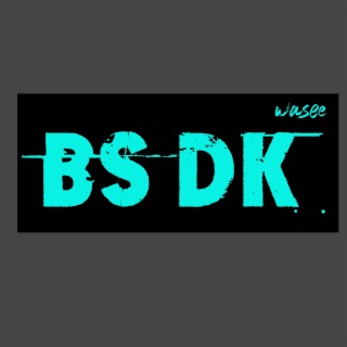 BS DK