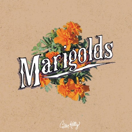 Marigolds | Boomplay Music
