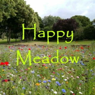 Happy Meadow lyrics | Boomplay Music