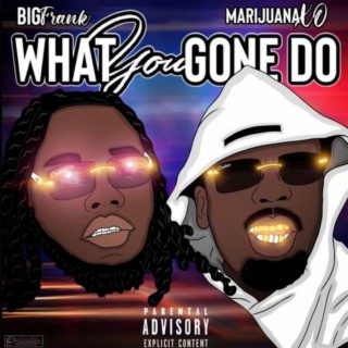 What You Gone Do (feat. Big Frank)