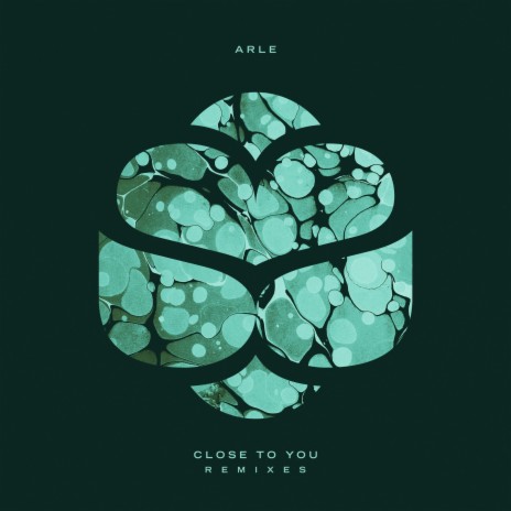 Close To You (Stray Beast Remix) | Boomplay Music