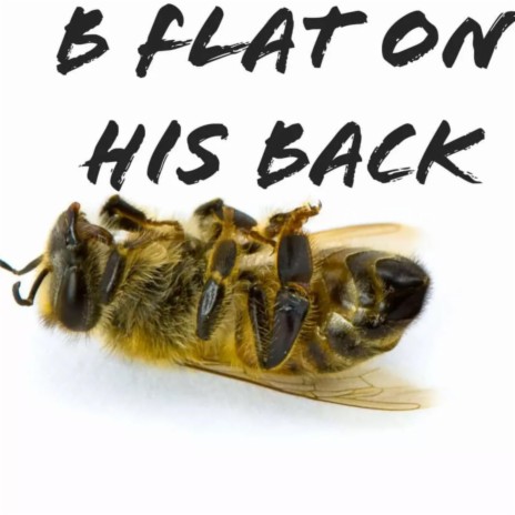 B Flat On His Back