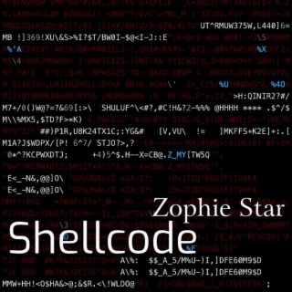 Shellcode