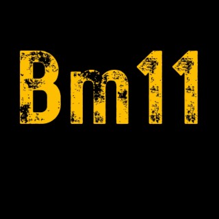 Bm11 (2024 Version)