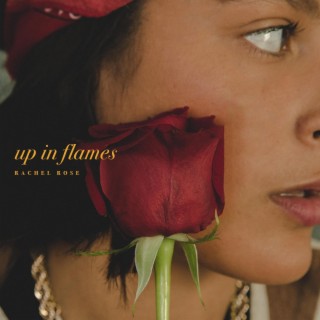 Up In Flames lyrics | Boomplay Music