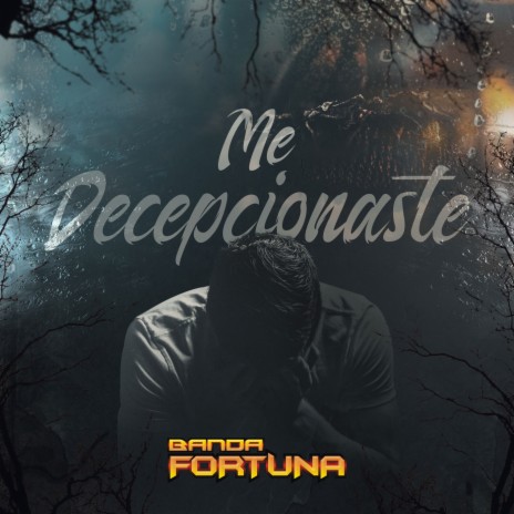 Me Decepcionaste | Boomplay Music