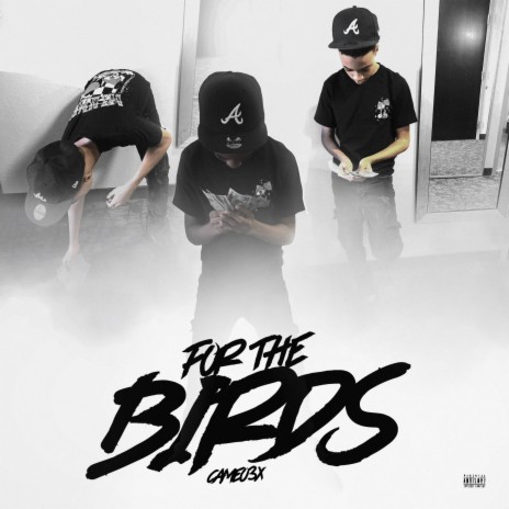 For The Birds | Boomplay Music