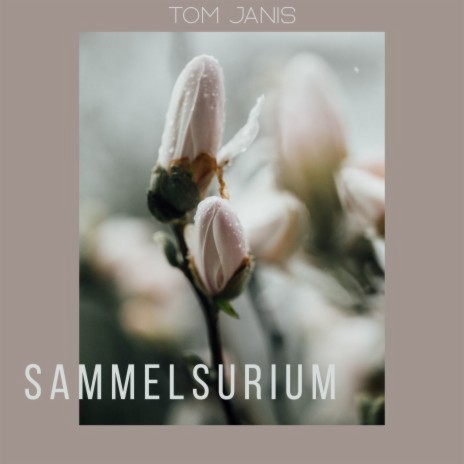 Sammelsurium | Boomplay Music