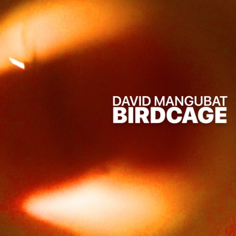 Birdcage | Boomplay Music