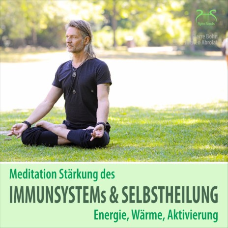 Musik zur Stärkung des Immunsystems, Heilung, Teil 2 ft. Torsten Abrolat & SyncSouls | Boomplay Music