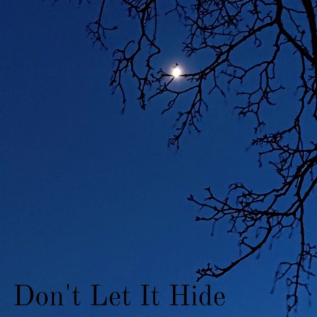 Don't Let It Hide | Boomplay Music