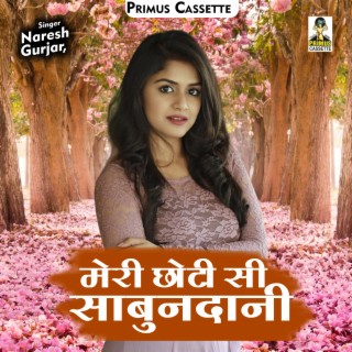 Meri Chhoti Si Sabundani