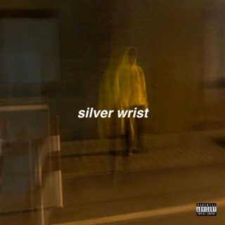 silver wrist