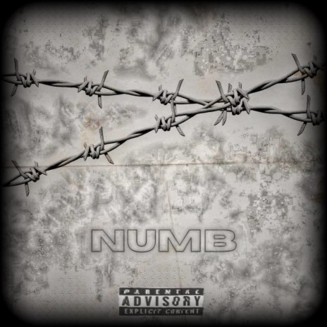Numb 2 The Pain