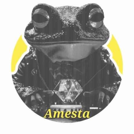 Amesta | Boomplay Music