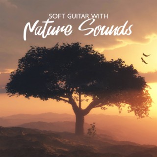Soft Guitar with Nature Sounds: Amazing Morning Music for Stress Relief (Pure Happiness)