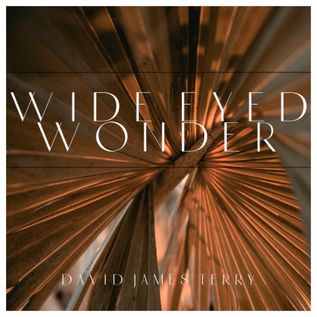Wide Eyed Wonder | Boomplay Music