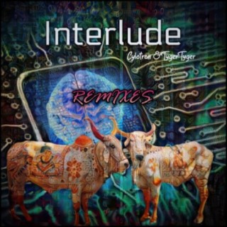 Interlude (feat. TygerTyger) (Remixes)