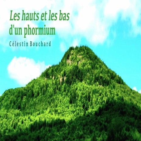 Les hauts et les bas d'un Phormium | Boomplay Music