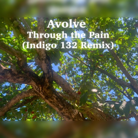 Through the Pain (Indigo 132 Remix) ft. Indigo 132 | Boomplay Music