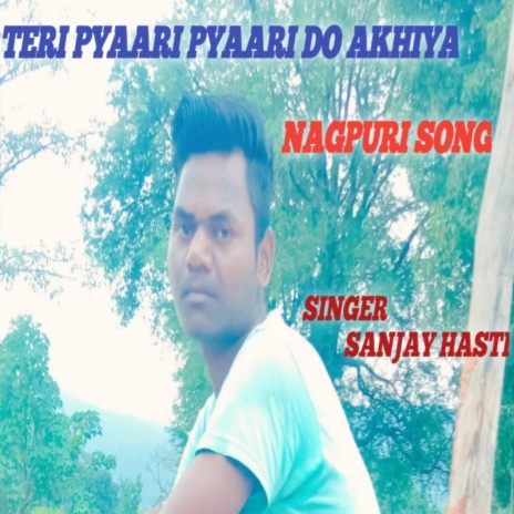 Teri pyari pyari do akhiyan | Boomplay Music