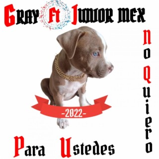 No Quiero (feat. JunioR Mex)