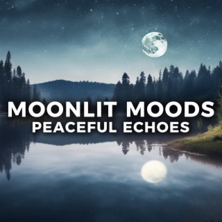 Moonlit Moods